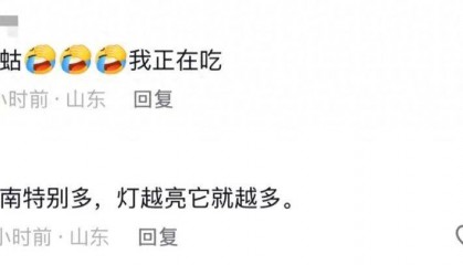 山东济南一广场突现“知了大军”密密麻麻，网友留言“你们咋不吃”