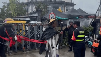 男子骑马在大理洱海廊道与保安起冲突 当地政府:廊道禁止机动车和马匹入内