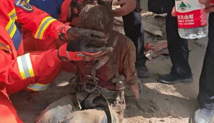 全网刷屏的女辅警为何没能转正？官方回应了！