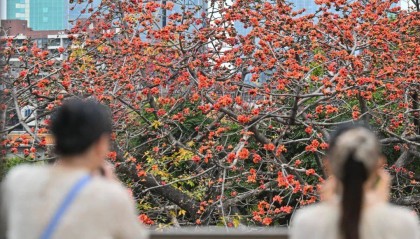 冷空气+暴雨来袭！广州低至11℃，就在本周……
