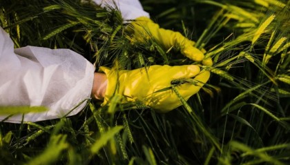 警惕！田里有间谍