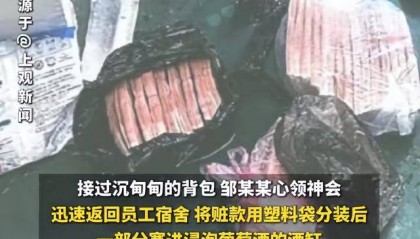儿子偷32万元现金途中出车祸，亲妈帮藏赃款，双双获刑