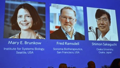 金灿荣:中国也许永远不会出现日本式的“诺贝尔奖井喷”