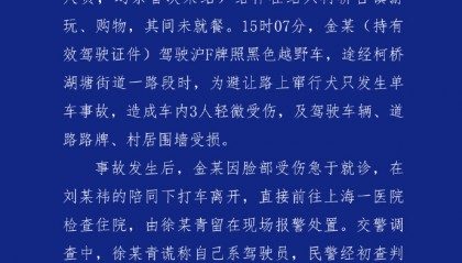 女星金晨被曝“肇事逃逸让助理顶包”，绍兴警方通报：金某驾车为避让犬只发生事故，因脸部受伤前往医院，徐某青谎称系驾驶员，不存在骗保