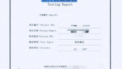 软件安全测试：信息安全的守护者，代码审计、漏洞扫描、渗透测试