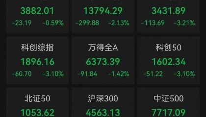 近4000股下跌！600403，尾盘直线涨停！