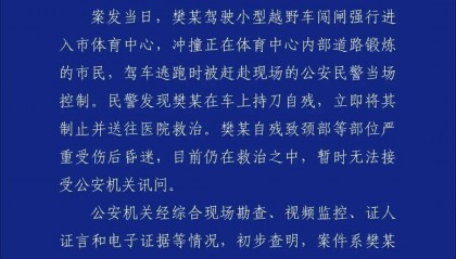 珠海恶性案件致35人遇难——樊某（男，62岁，离异）驾车冲撞市民，已刑拘