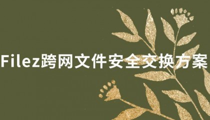 Filez跨网文件安全交换方案