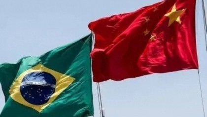 巴西最新宣布：“将在中国设立”