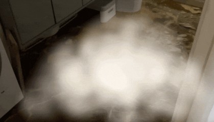 上海一业主推开家门瞬间懵了!精装房竟成“化粪池”……