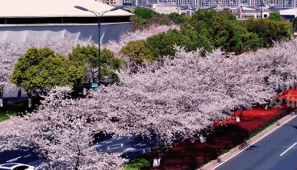 最新确认：今夜抵达杭州！断崖式暴跌！下暴雨、冰雹、强雷电……