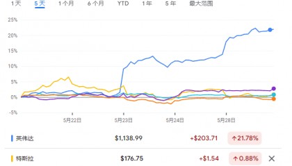 伴随英伟达股价飙升，对冲基金对美股“七姐妹”敞口升至纪录高位