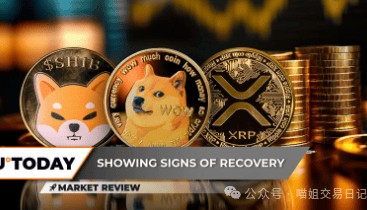 SHIB即将爆发？值得关注的3个DOGE价格水平，XRP 恢复尝试已开始