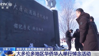 南京大屠杀死难者国家公祭日 多国华侨华人举行悼念活动