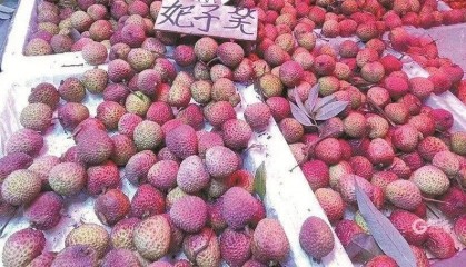 大跳水,暴跌40%!老板:一天一个价,估计还要跌