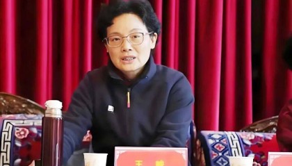严重违纪违法！西藏自治区人大常委会原党组副书记、副主任王峻被“双开”