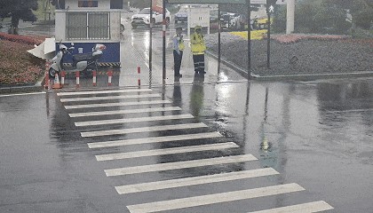 男孩“霸气”对交警承诺:“报我名字,领100个包子!”