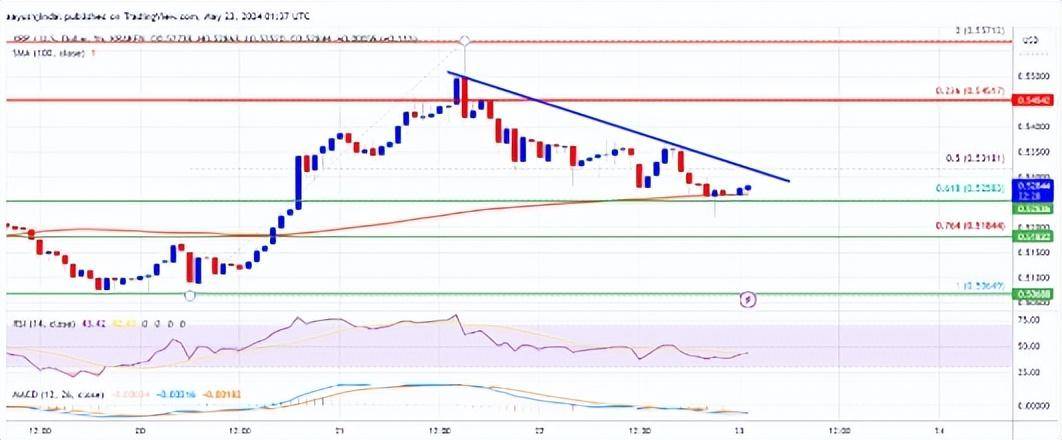 XRP 价格再次转红：加密货币的下一步是什么？