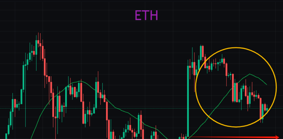 ETH“明日黄花”山寨币见底了？2024大牛市分析5种加密货币！