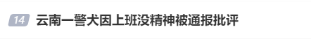 “上班死气沉沉、下班魅力四射”，警犬被通报