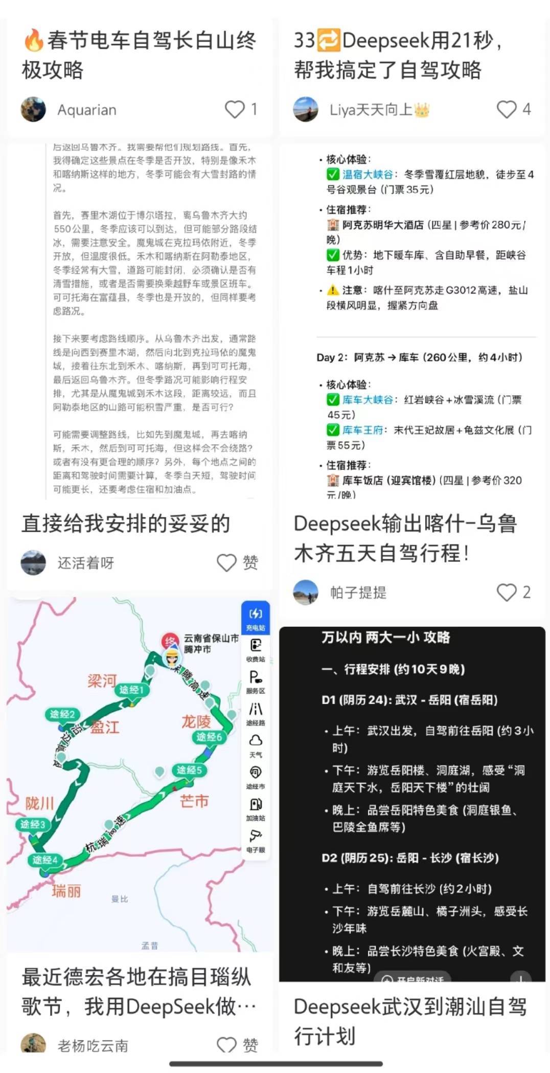 男子春节返程用DeepSeek做“最优攻略”，两天从广东徐闻开车回重庆