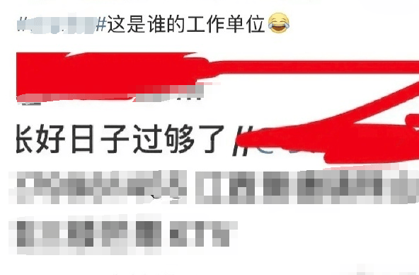 “让她丈夫快家暴！”一孕妇因网络发言被“开盒”，百度高管女儿参与网暴？多方回应