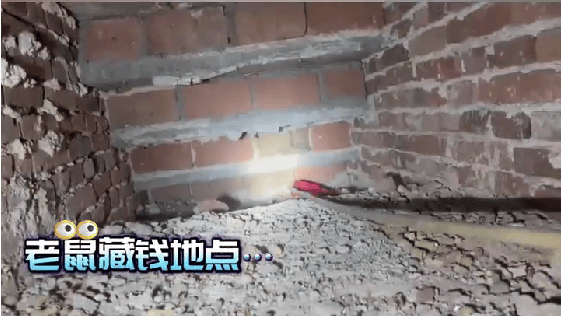 老人用红袜子包裹一万元现金藏在门框上，一天后不翼而飞，警方破案：偷钱的是老鼠