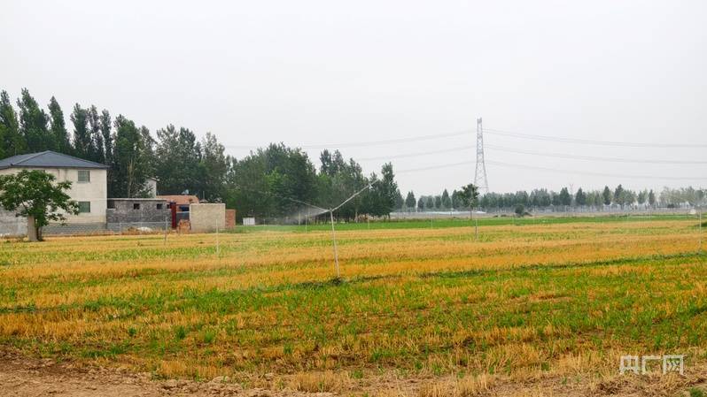 全国土地日｜守住粮食生产命根子 看中原如何“耕”新