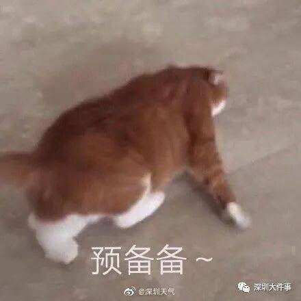 广东全省入秋了,冷空气最快今晚抵达广州
