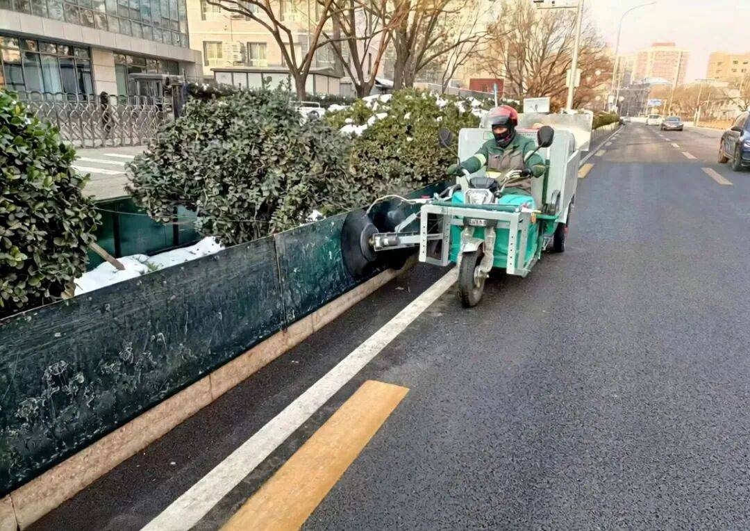北京绿化带里用了二十年的板子，今冬“下岗”了——