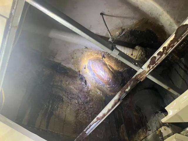 “每天回家我都想吐！”整整3年，因顶楼住户一个操作，广东一小区整栋楼业主直呼“苦不堪言”，多方回应