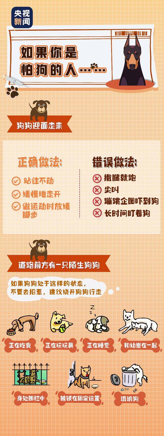 下月起，遛狗不栓绳最高拘10天罚1千