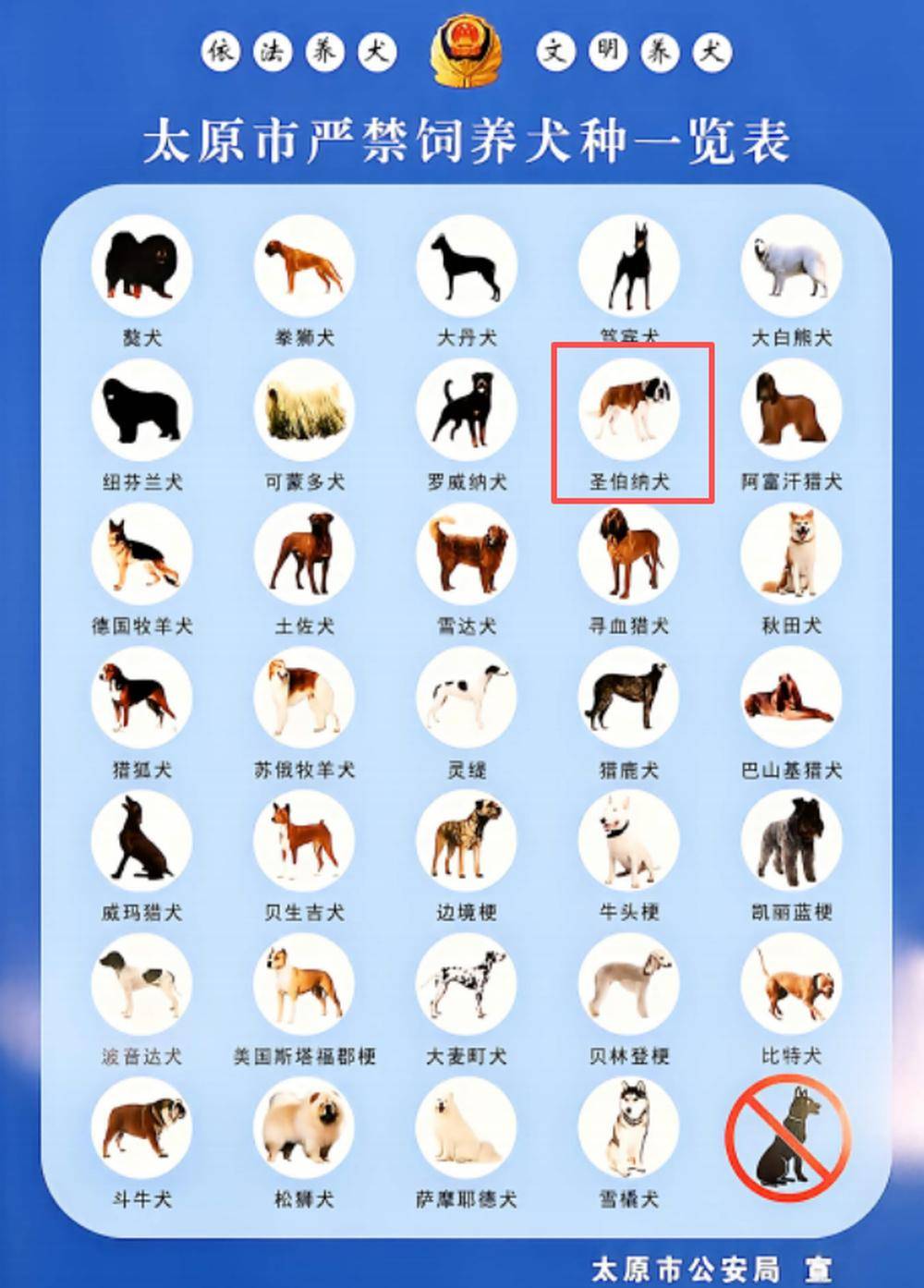 太原长风东街突发烈犬扑咬少年!违规饲养禁养犬种圣伯纳犬,犬主被行政拘留