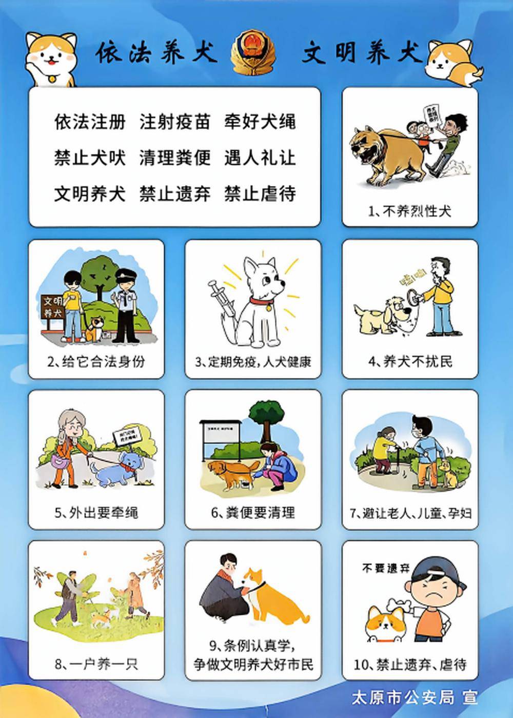 太原长风东街突发烈犬扑咬少年!违规饲养禁养犬种圣伯纳犬,犬主被行政拘留